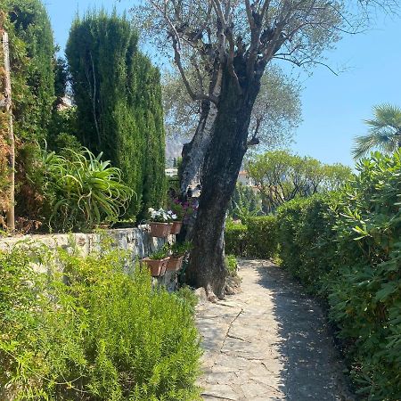 "Jardin Du Pian" Calme, Proche Gare, Mer Menton Eksteriør billede